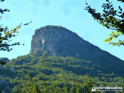 Hayedos Rioja Alavesa- Sierra Cantabria- Toloño;agencias viajes madrid ciudad encantada tamajon pue